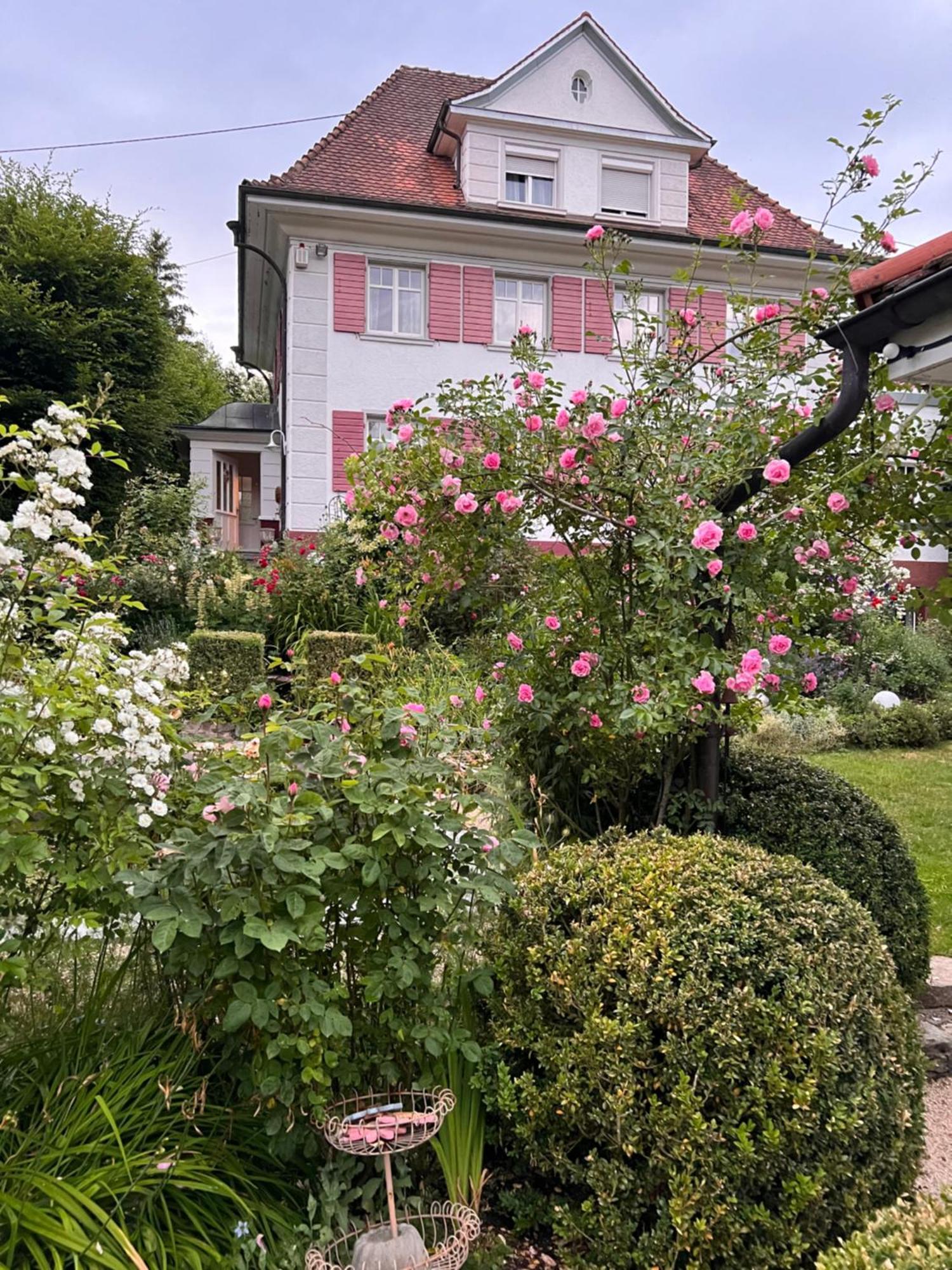 B&B Rosenliebe Niedereschach Exteriör bild